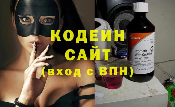 ECSTASY Няндома