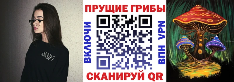 где купить наркоту  Чегем  Галлюциногенные грибы прущие грибы 